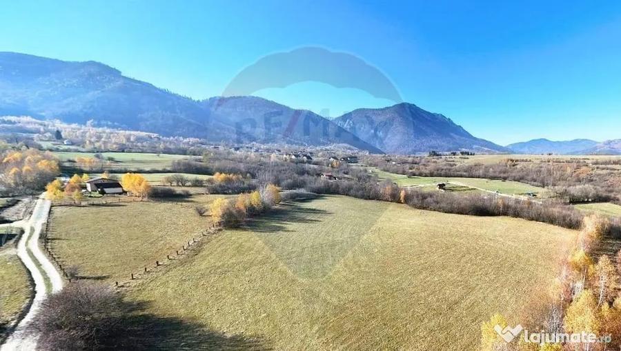 Teren în Tohănița