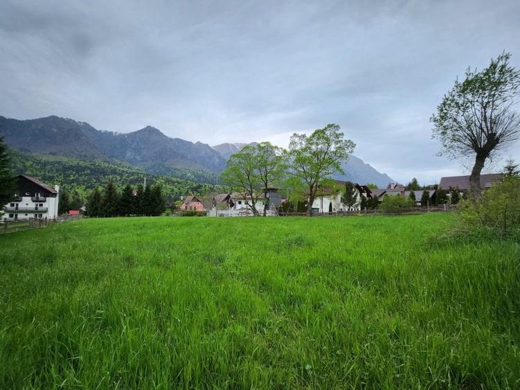 Teren Construcții intravilan de 2675 mp, în Poiana Țapului