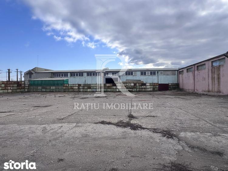PLATFORMA INDUSTRIALA STRATEGICA IN ORADEA POTEN?IAL OPERATIONAL - 9