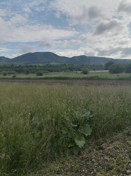 Teren de 3900 mp, în Central