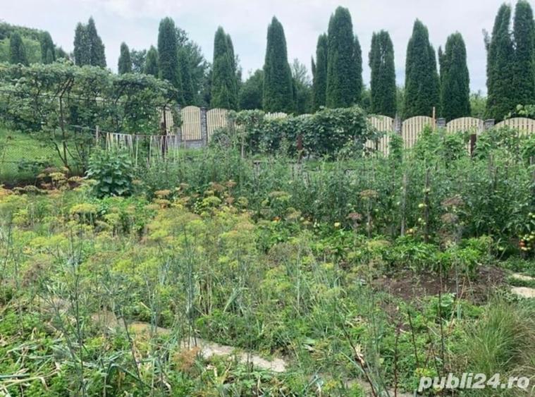 Casă cu 5 camere cu Teren 700 Mp în Goranu