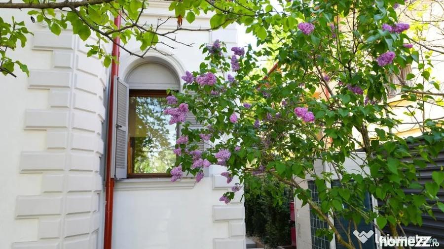 Casă cu 7 camere cu Teren 468 Mp în Cotroceni