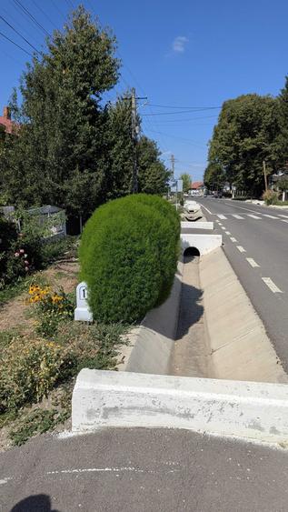 Casă cu 2 camere în Icușești