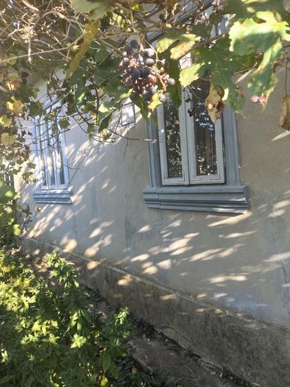 Casă cu 3 camere în Ulmu