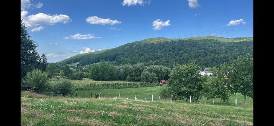 Spațiu comercial, în Putna