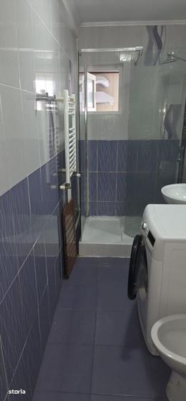2 camere Banat - 9
