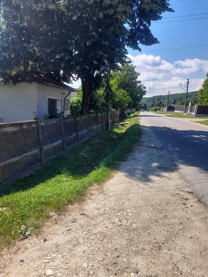 Casă cu 3 camere în Micești