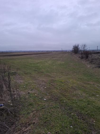 Teren Construcții intravilan de 2500 mp, în Dragomirești