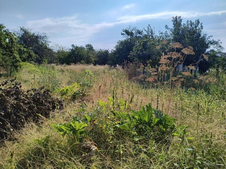 Casă individuală cu 2 camere cu Teren 1550 Mp în Radovan