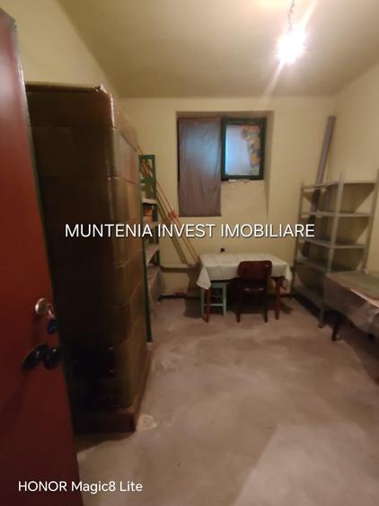 Proprietate specială, de 10.619999885559 mp, în Teilor