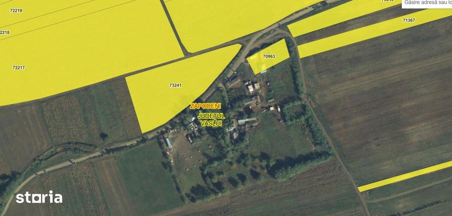 Teren de 9000 mp, în Zăpodeni