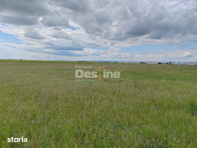 Teren de 114000 mp, în Ariceștii Rahtivani