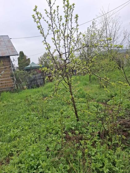 Teren de 3065 mp, în Sărățel
