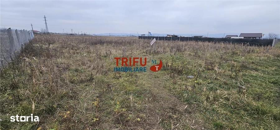 Teren de 525 mp, în Industrială