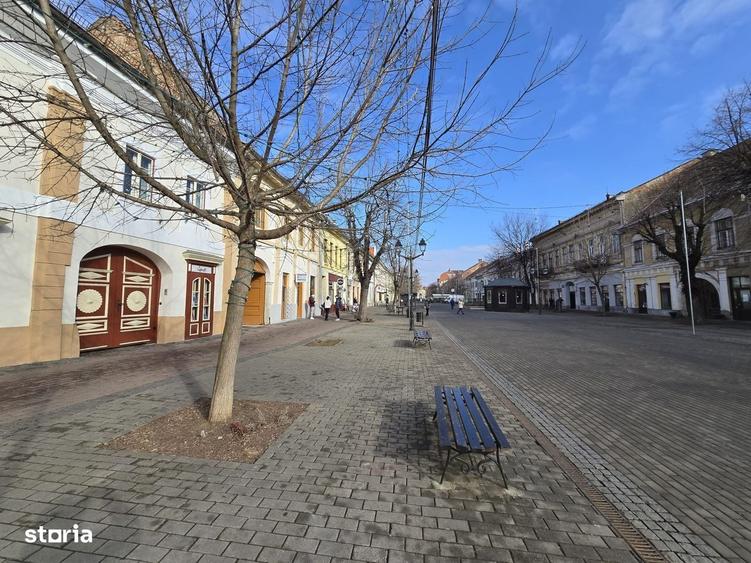 Spațiu comercial, de 265 mp, în Ultracentral