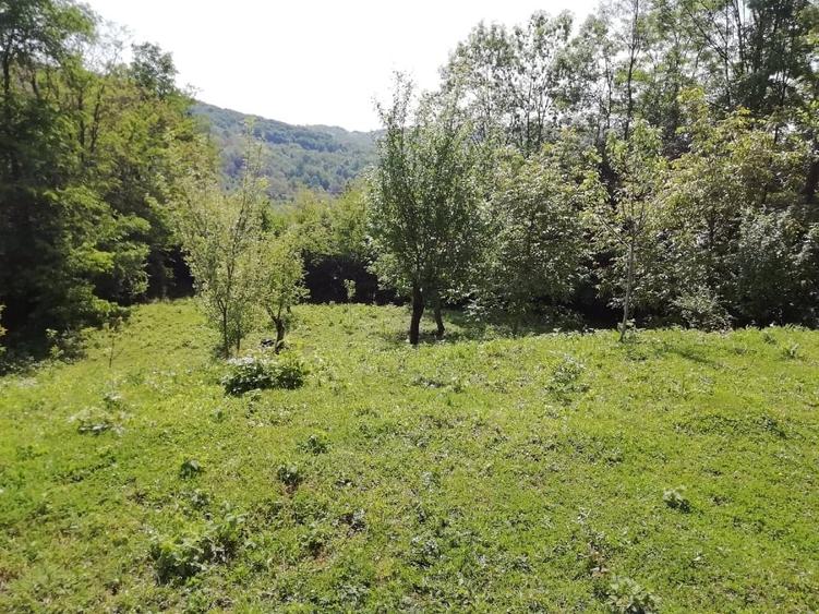 Teren Construcții intravilan de 2031 mp, în Bela