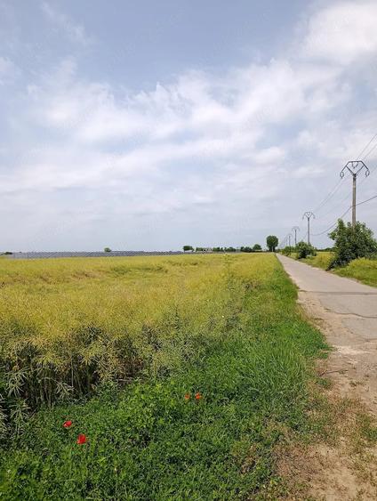 Proiect Greenfield, S-22Ha, P.U.Z, Rezidential, Energie Verde, Ilfov. - 8