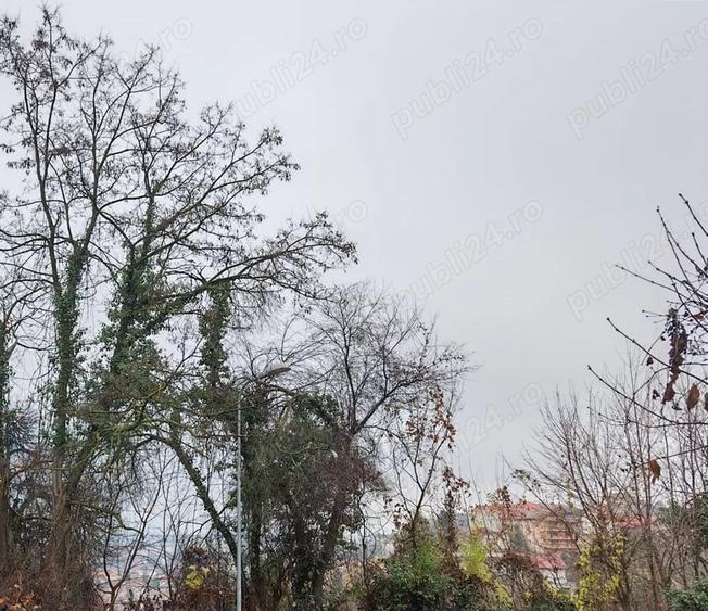 Teren de 400 mp, în Central
