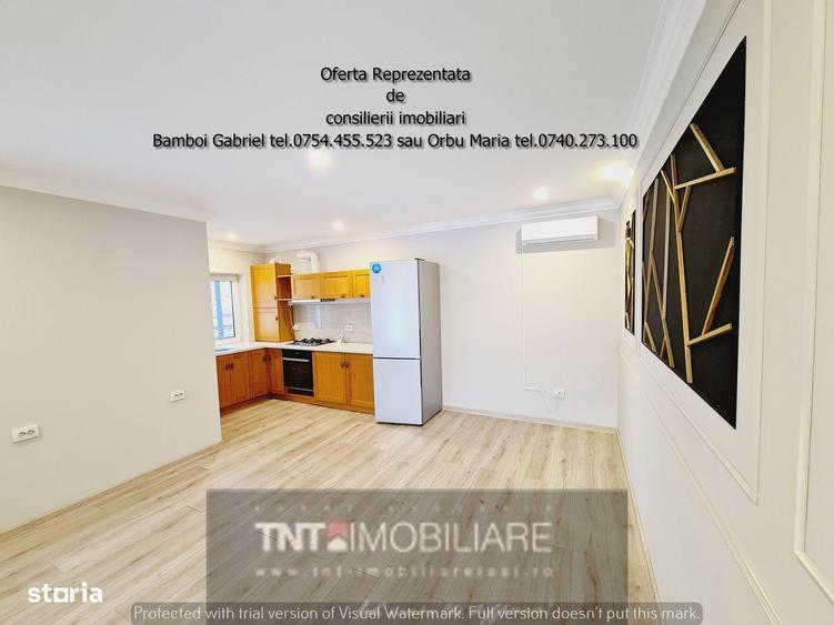 Resedinta individuala cu Arhitectura Moderna Capat Pacurari - 13