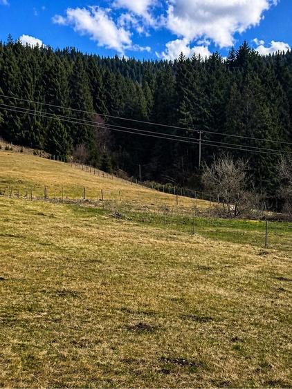 Teren de 6250 mp, în Vidra