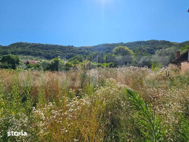 Casă cu 5 camere cu Teren 1249 Mp în Săsciori