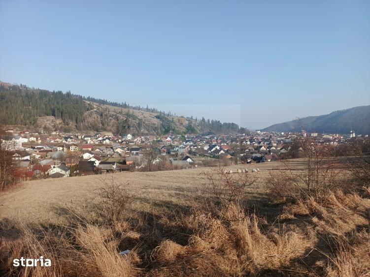 Teren de 3000 mp, în Curtești