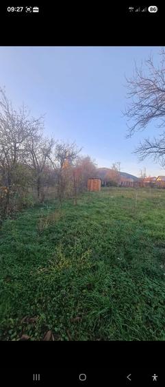 Spațiu comercial, în Rapolțel