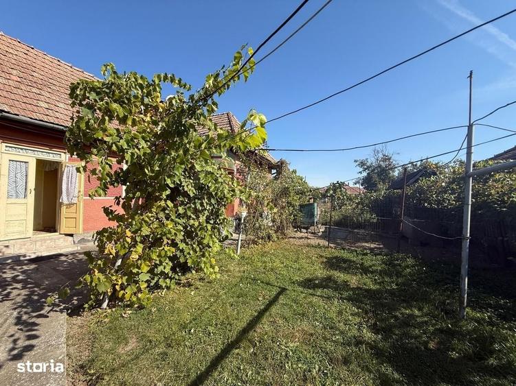 Casă cu 3 camere în Central