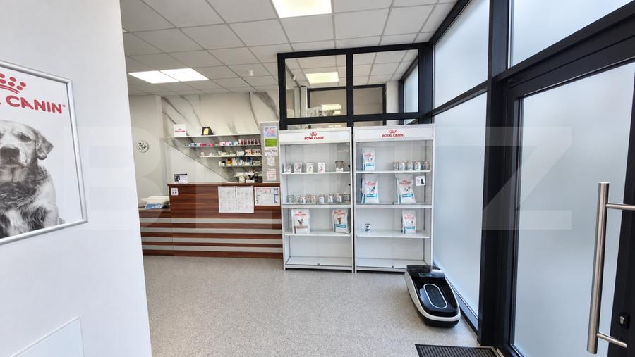 Spațiu comercial, de 200 mp, în Careiului