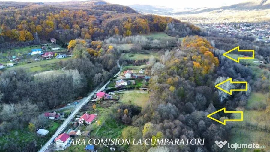 PADURE LANGA ORAS ACCES BUN IDEALA PENTRU ACTIVITATI DE AGRE - Ramnicu Valcea (Valcea) - 13