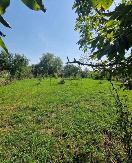 Casă cu 2 camere cu Teren 1600 Mp în Central