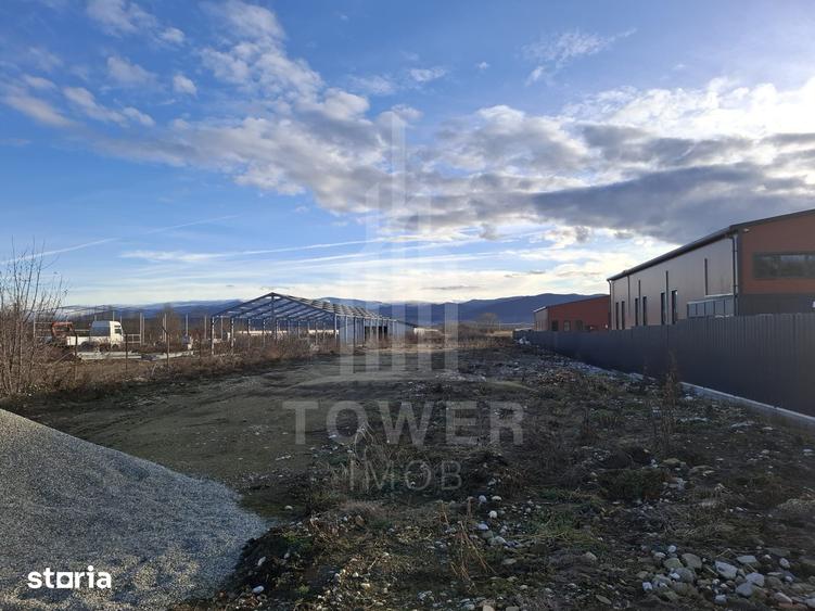 Teren de 3100 mp, în Cristian