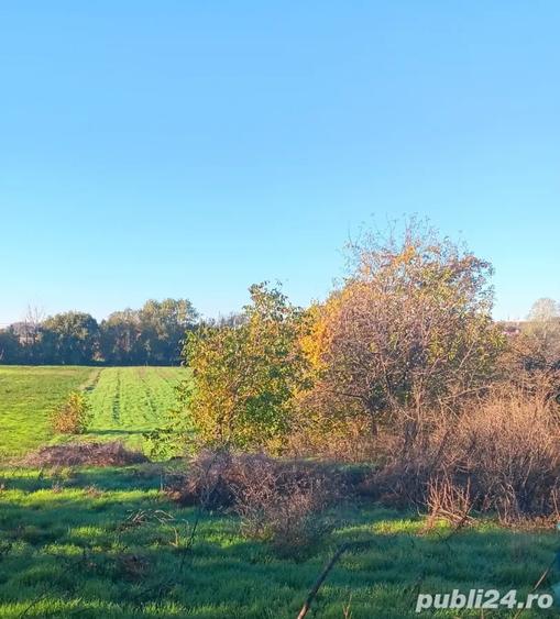 Teren de 2500 mp, în Jilava
