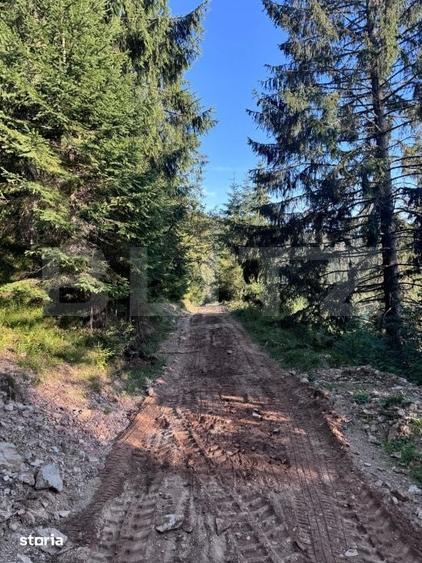 Teren de 9700 mp, în Central