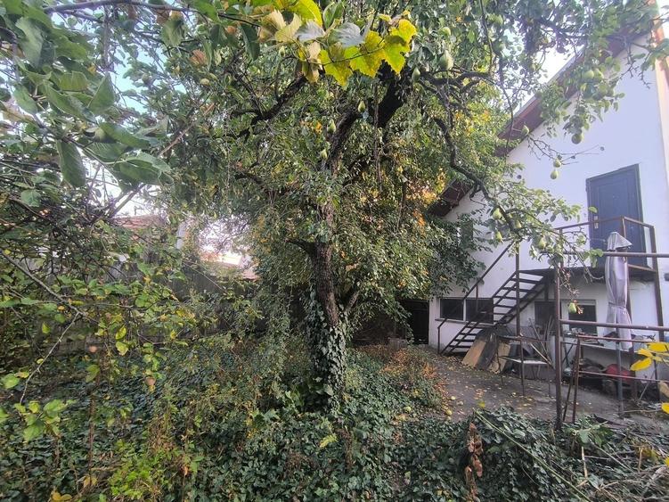 Casă individuală cu 3 camere cu Canalizare în Plopilor