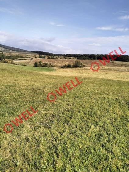 Teren intravilan de 11900 mp, în Periferie