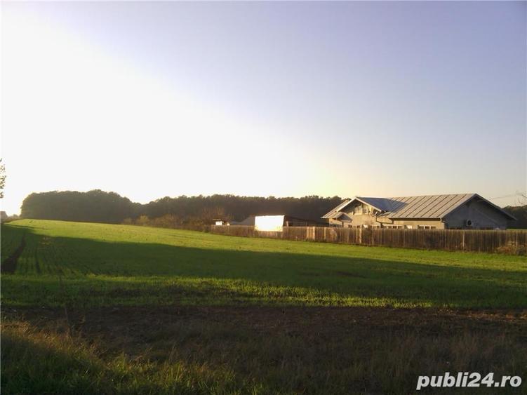 Teren de 4100 mp, în Tâncăbești