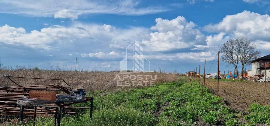 Teren Construcții intravilan de 5000 mp, în Sacoșu Turcesc