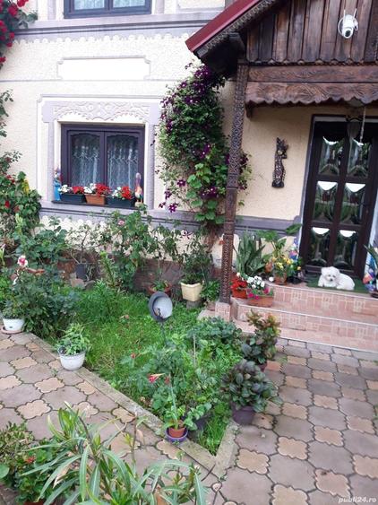 Casă cu 6 camere cu Teren 2000 Mp în Tismana