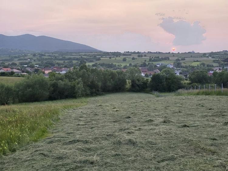 Spațiu comercial, în Rășinari