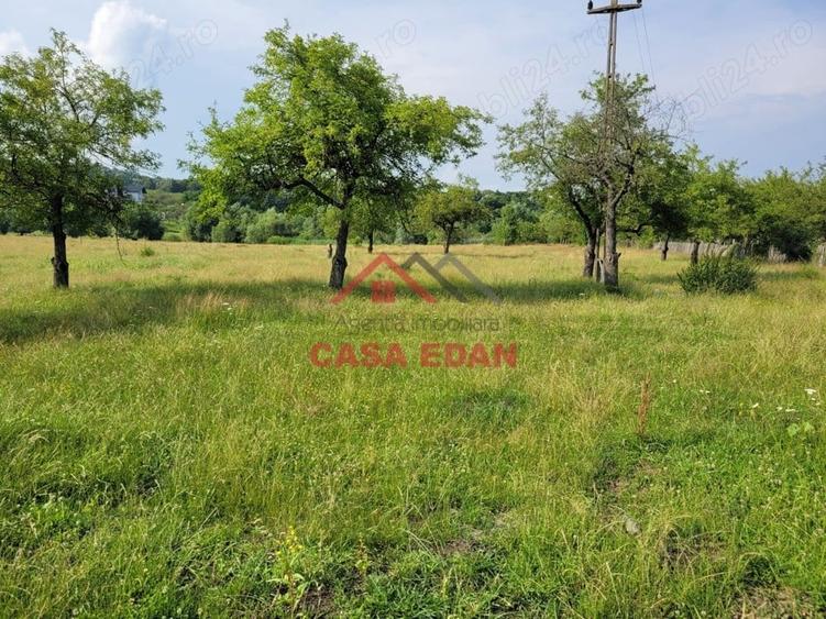Casă cu Teren 1490 Mp în Voila