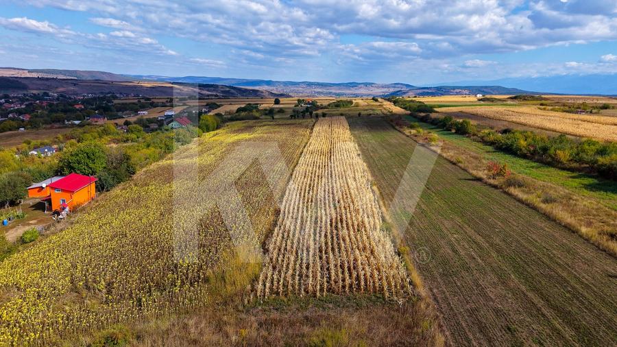 Teren agricol extravilan de 5000 mp, în Daia