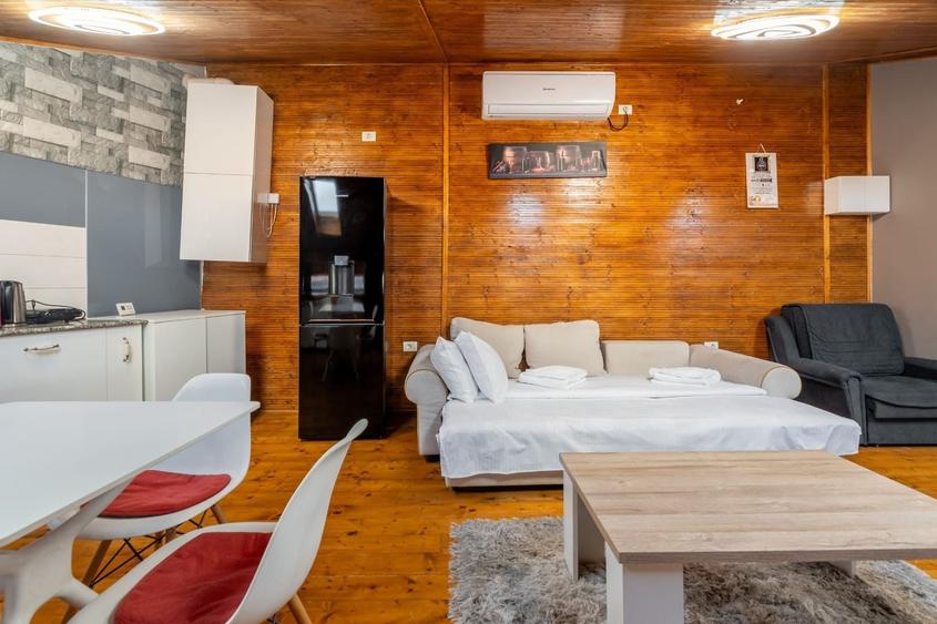 Apartament cu 2 camere, mobilat în Tineretului