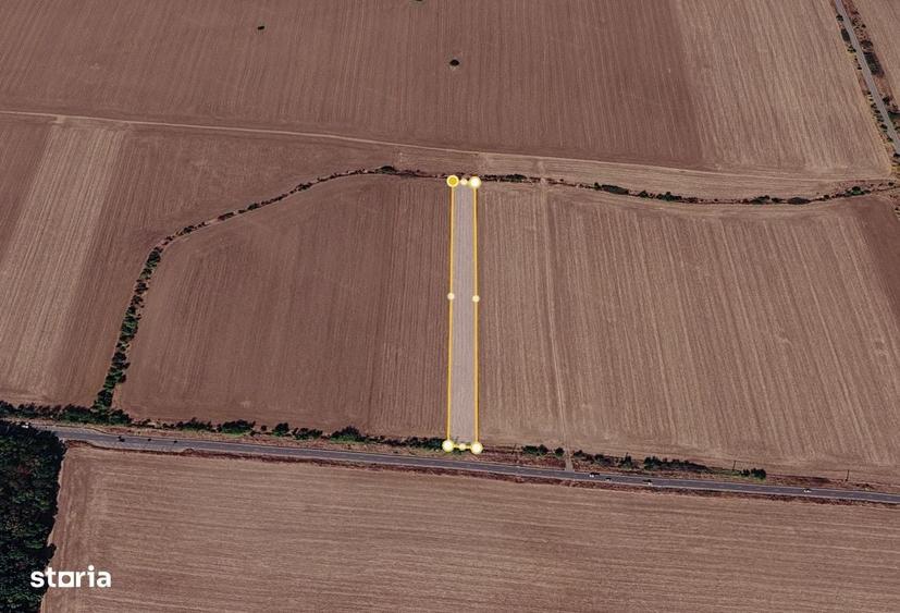 De vanzare | Teren 6.648 MP | Gruiu | Moara Vlasiei - 5