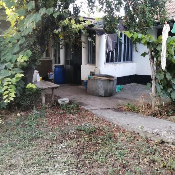 Casă cu 3 camere cu Teren 1800 Mp în Balta Albă