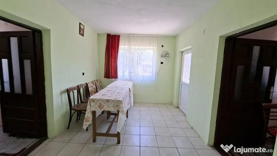 Casă cu 3 camere cu Teren 1667 Mp în Teiu