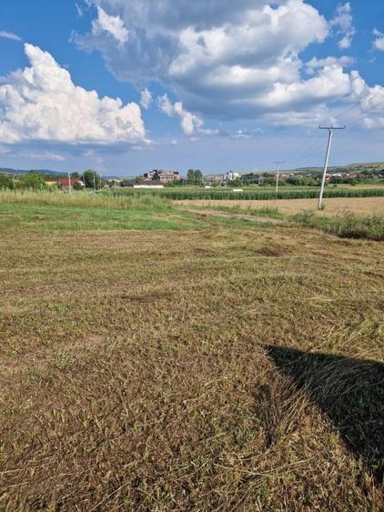 Teren Construcții intravilan de 5800 mp, în Aghireșu-Fabrici