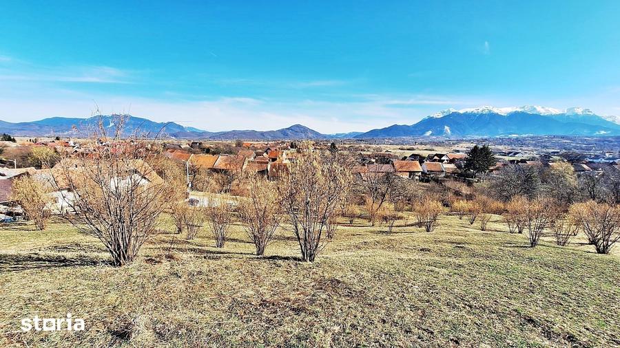Teren de 17000 mp, în Central