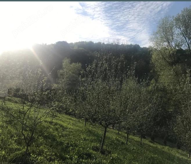 Casă cu 4 camere cu Teren 4400 Mp în Vlădești