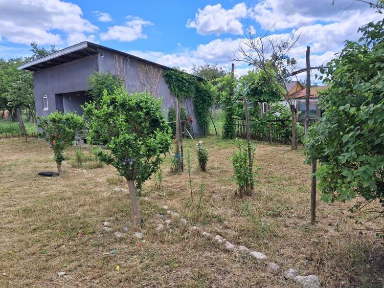 Casă cu 3 camere în Bacea